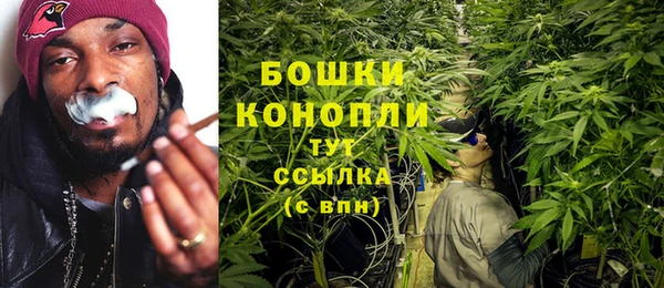 PSILOCYBIN Аркадак