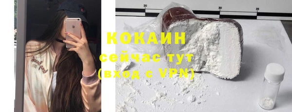 сатива Армянск