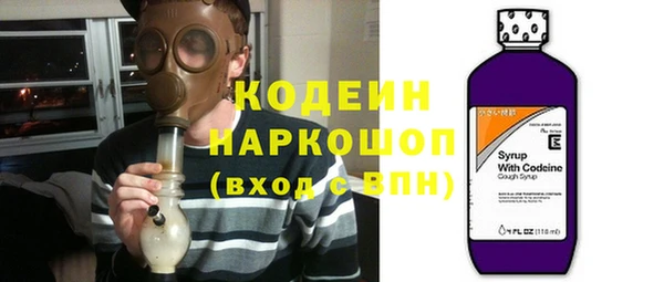 шишки Пестово