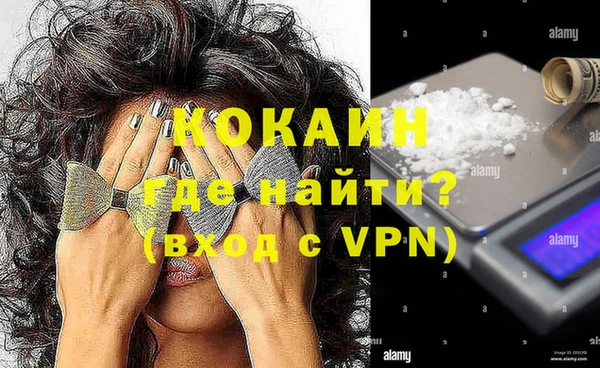 сатива Армянск