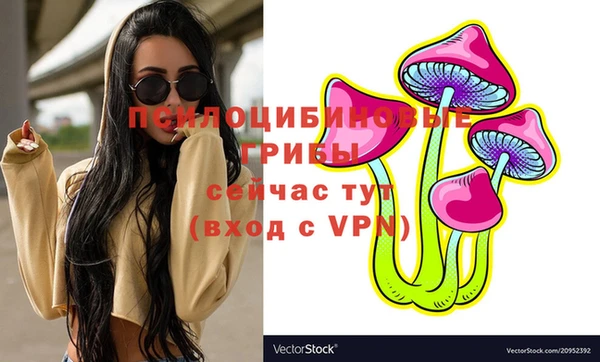 дмт Арсеньев