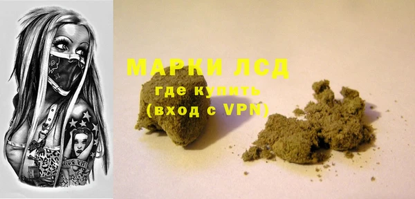PSILOCYBIN Аркадак